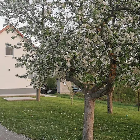 Fortuna House Holiday home